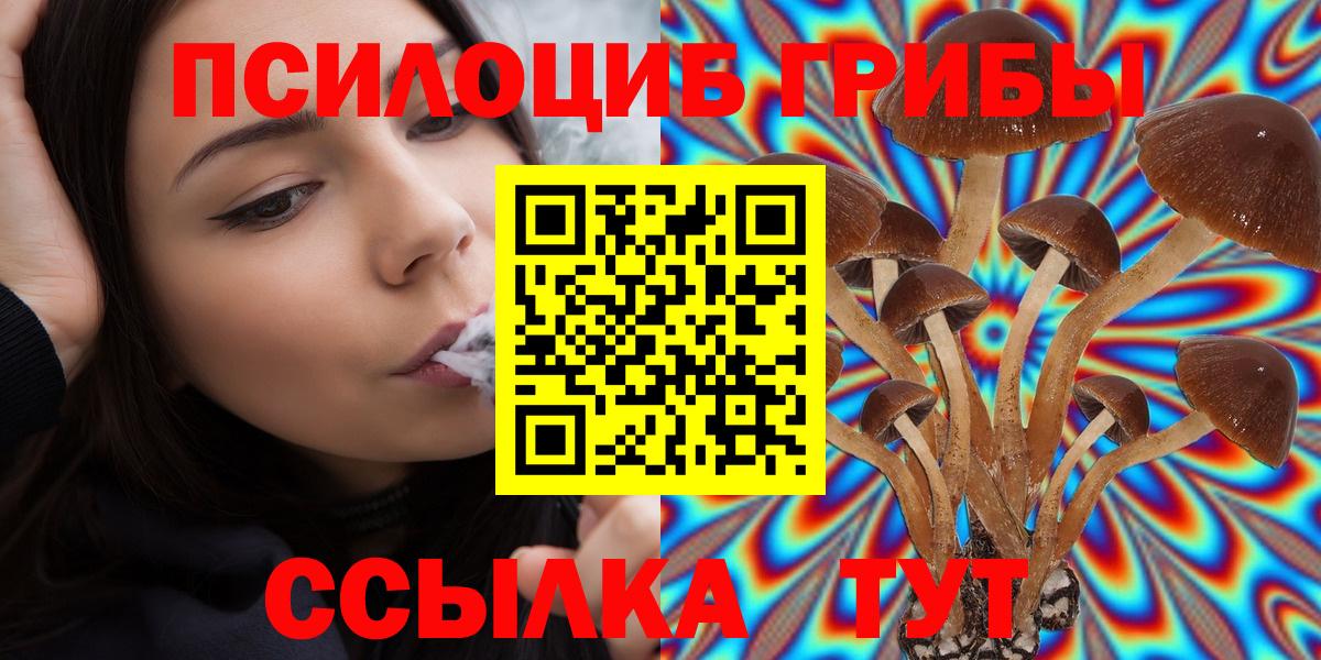 где можно купить   Псилоцибиновые грибы мухоморы  Вход с VPN  Псилоцибиновые грибы MAGIC MUSHROOMS  Черняховск 